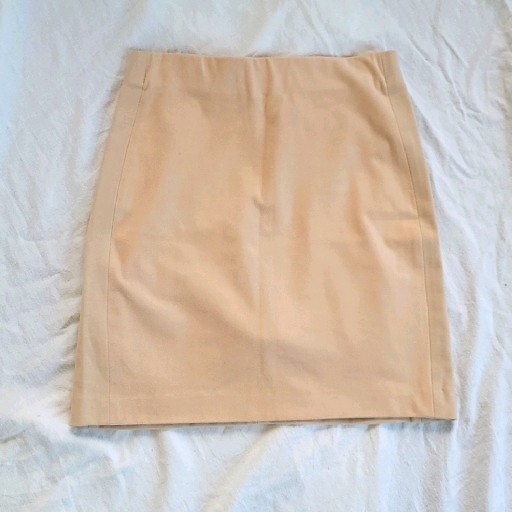 Wolford Skirt